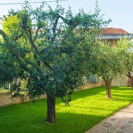 Casa Vacanze Cattolica *