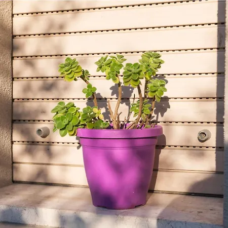 Appartamento Casa Vacanze Cattolica