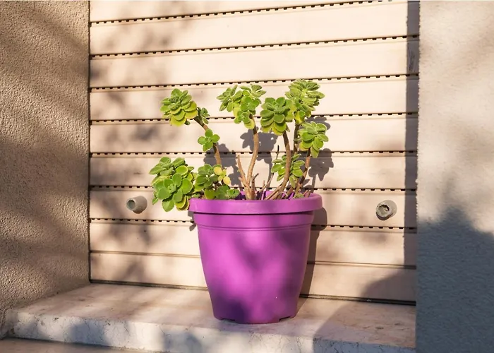 Apartamento Casa Vacanze Cattolica